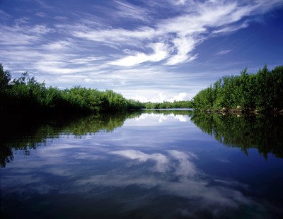 17.05.22 OHL Se Suma Al Día Mundial De La Biodiversidad