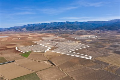21.01 Planta Huéneja España