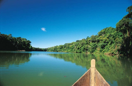 The Amazon Conservation Project in Madre de Dios, Peru.