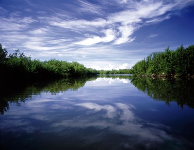 16.06.03 ¡Celebra El Día Mundial Del Medio Ambiente!