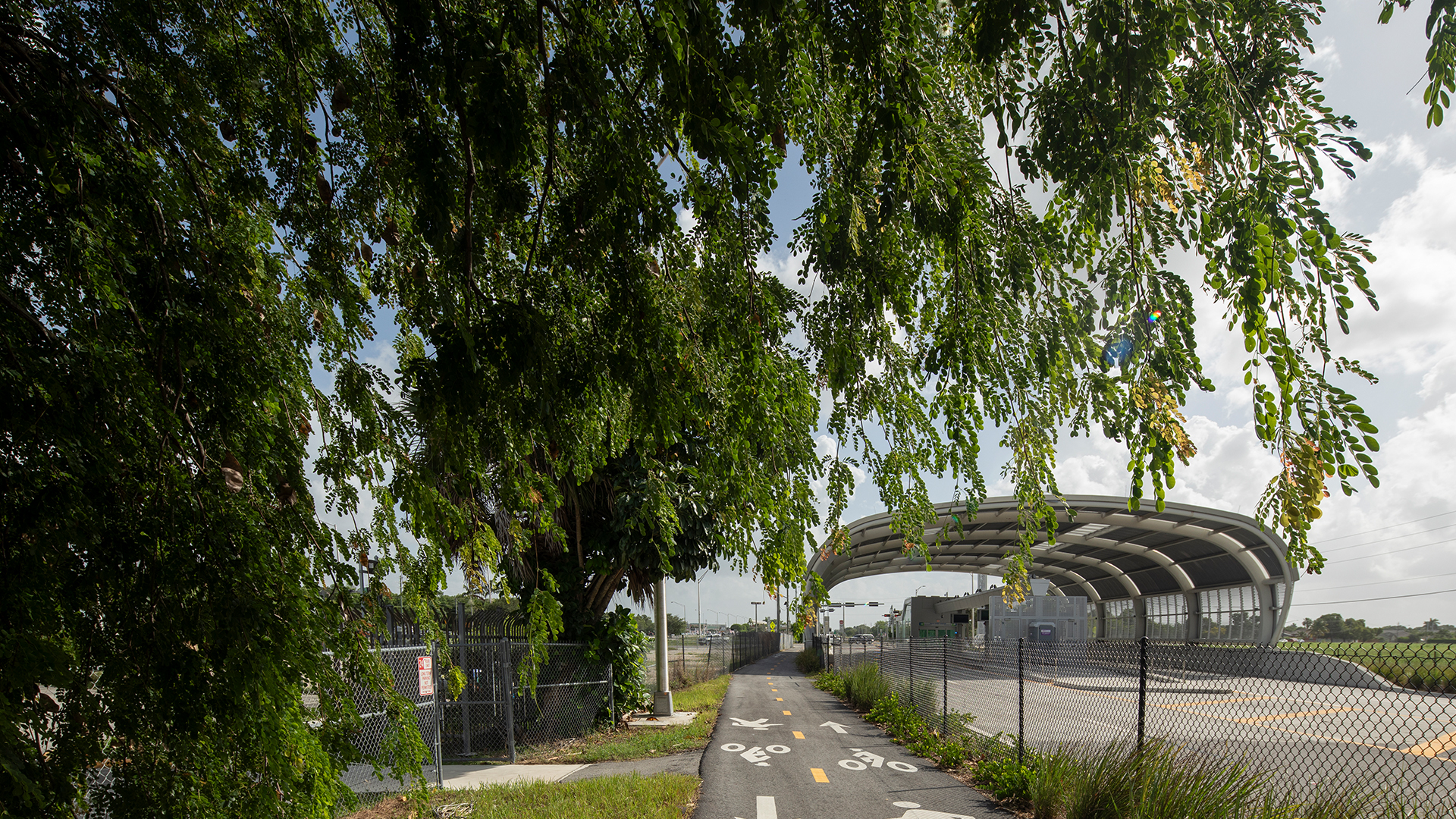 STM_0000s_0005_South Dade Transit Way for OHLA Photo by Robin Hill (c) HI RES (2)